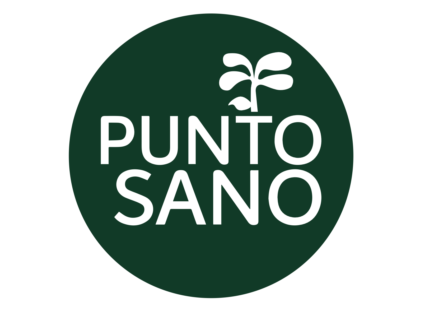 punto sano